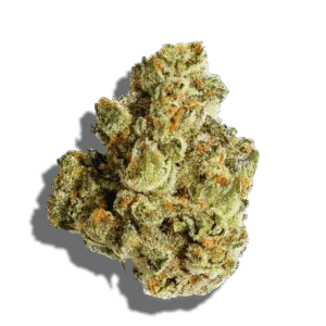 Buddha's Smile Strain Hybrid THCA flower - lab-tested hemp-derived flower from THC Central