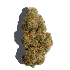 Purple OG Weed Strain Hybrid THCA flower - lab-tested hemp-derived flower from THC Central