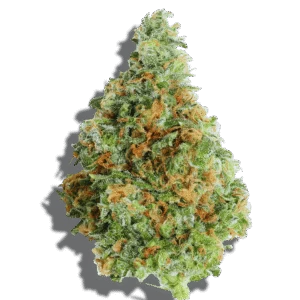 Day Day Weed Strain Hybrid THCA flower - lab-tested hemp-derived flower from THC Central