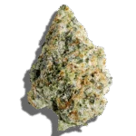 The One Strain Hybrid THCA flower - lab-tested hemp-derived flower from THC Central