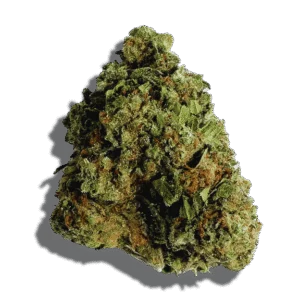 Sherblato Weed Strain Sativa THCA flower - lab-tested hemp-derived flower from THC Central