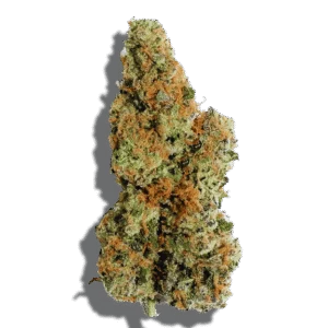 Purple Crip Strain Indica THCA flower - lab-tested hemp-derived flower from THC Central