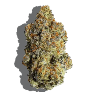 Acapulco Gold Weed Strain Sativa THCA flower - lab-tested hemp-derived flower from THC Central