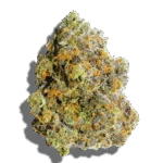 Blood Moon Strain Indica THCA flower - lab-tested hemp-derived flower from THC Central