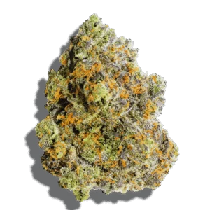Blood Moon Strain Indica THCA flower - lab-tested hemp-derived flower from THC Central