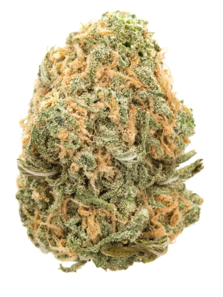 Blue Dream Strain Hybrid THCA flower - lab-tested hemp-derived flower from THC Central