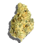 Dynasty OG Strain Hybrid THCA flower - lab-tested hemp-derived flower from THC Central