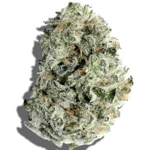 Forbidden Fruit Weed Strain Indica THCA flower - lab-tested hemp-derived flower from THC Central