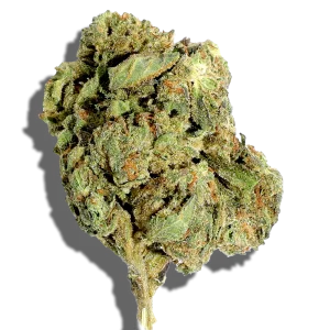 Jack Herer Weed Strain Sativa THCA flower - lab-tested hemp-derived flower from THC Central