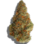 Baja Blast Strain Indica THCA flower - lab-tested hemp-derived flower from THC Central