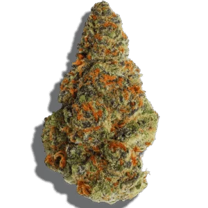Baja Blast Strain Indica THCA flower - lab-tested hemp-derived flower from THC Central