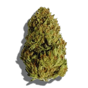Kosher Kush Weed Strain Indica THCA flower - lab-tested hemp-derived flower from THC Central