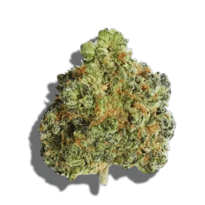 Clemendo Strain Sativa THCA flower - lab-tested hemp-derived flower from THC Central