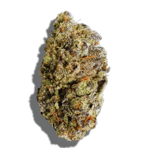 Cherry Cream Pie Strain Hybrid THCA flower - lab-tested hemp-derived flower from THC Central