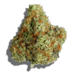 Apple Banana Gelato Strain Hybrid THCA flower - lab-tested hemp-derived flower from THC Central