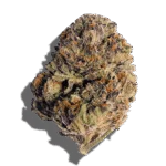 Cotton Candy OG Weed Strain Hybrid THCA flower - lab-tested hemp-derived flower from THC Central