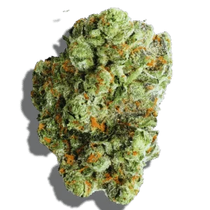 Thrasher Mushroom Strain Hybrid THCA flower - lab-tested hemp-derived flower from THC Central