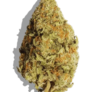 Cochino Strain Hybrid THCA flower - lab-tested hemp-derived flower from THC Central