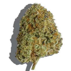 Fire OG Weed Strain Hybrid THCA flower - lab-tested hemp-derived flower from THC Central