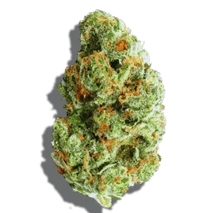 Gushers Weed Strain Hybrid THCA flower - lab-tested hemp-derived flower from THC Central