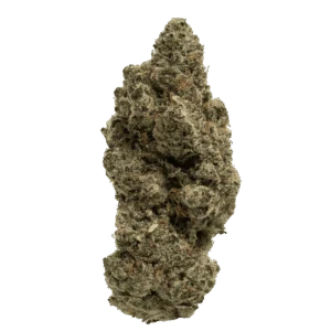 Mule Fuel Hybrid THCA flower - lab-tested hemp-derived flower from THC Central